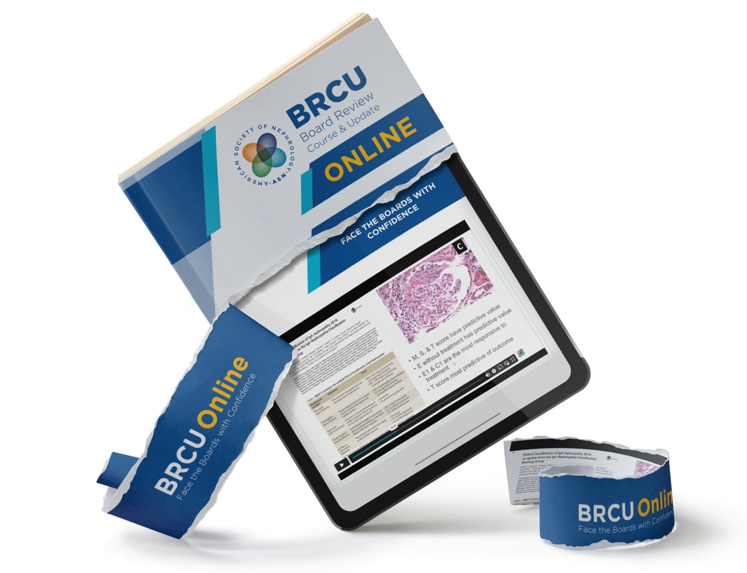 ASN Board Review Course & Update (BRCU) 2025 On-Demand - Medical ...